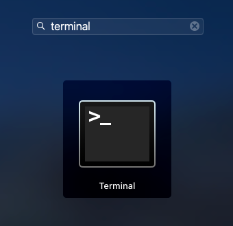 Terminal icon in the Launchpad