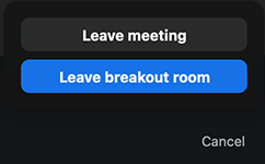 Leave Breakout Room button