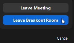 Leave Breakout Room button
